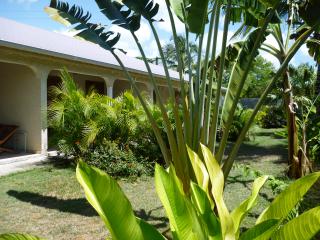 Jardin gite au soleil