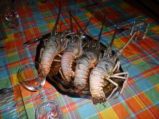 Langoustes à Ti Soleil