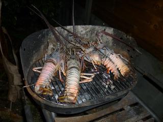 Langoustes à Ti soleil