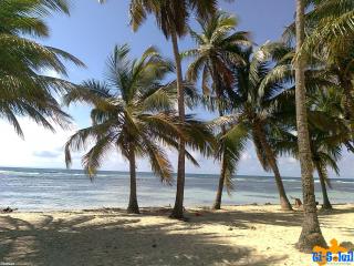 Plage Bois Jolan