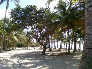 Plage Bois Jolan